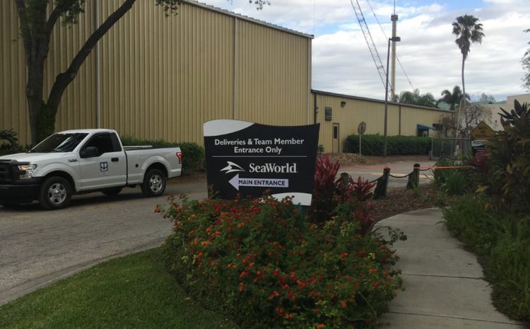  Sea World